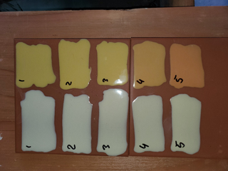 Field Tile Gloss
